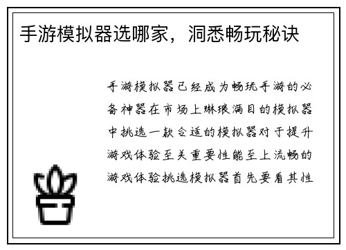 手游模拟器选哪家，洞悉畅玩秘诀